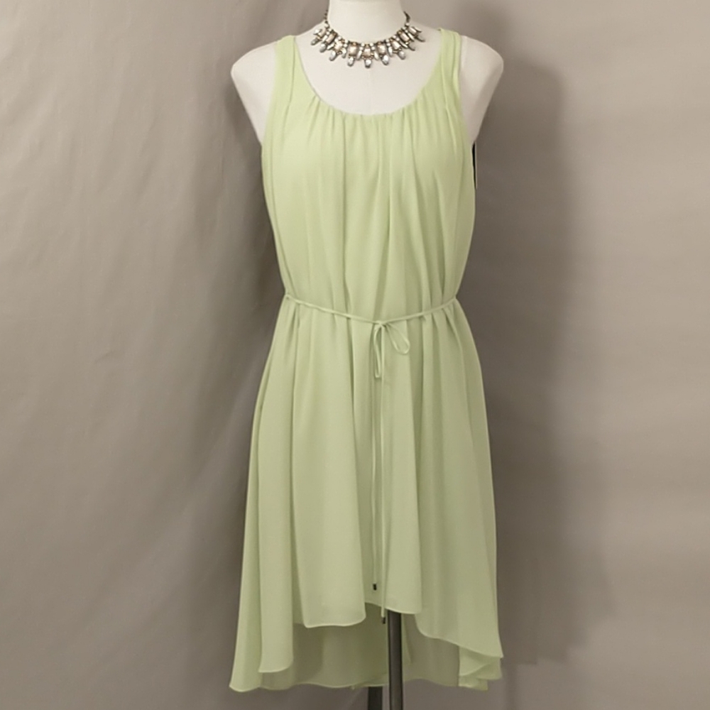 Goddess Dress Tahari Celery Pastel Lime Ethereal